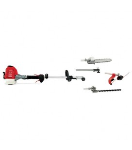 Blue Bird Decespugliatore DGJ260H
