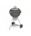 Weber Barbecue a carbone Master-Touch GBS Kettle 70th grigio 19521004