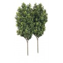 Pianta artificiale Odmanthus cm100x70