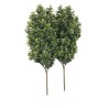 Pianta artificiale Odmanthus cm100x70