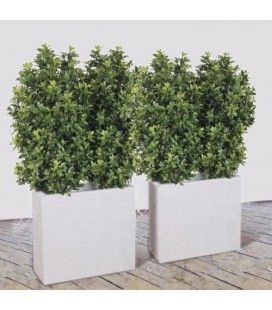 Pianta artificiale Osmanthus cm 170-135x50 senza vaso