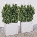 Pianta artificiale Odmanthus cm100x70