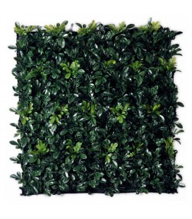Siepe artificiale buxus Viridium cm 50x50