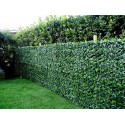 Siepe artificiale buxus Viridium cm50x50