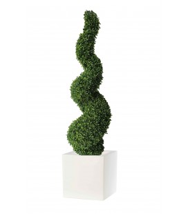 Pianta artificiale spirale buxus viridium VIR 0051