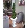 Pianta artificiale spirale buxus viridium VIR 0051