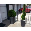 Pianta artificiale spirale buxus viridium VIR 0051