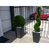 Pianta artificiale spirale buxus viridium VIR 0051