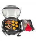 Weber Pulse 2000 Barbecue Elettrico con Carrello/Stand Nero, Argento 2200 W 85010053